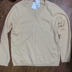 Uniqlo 100% Cashmere V-neck Sweater